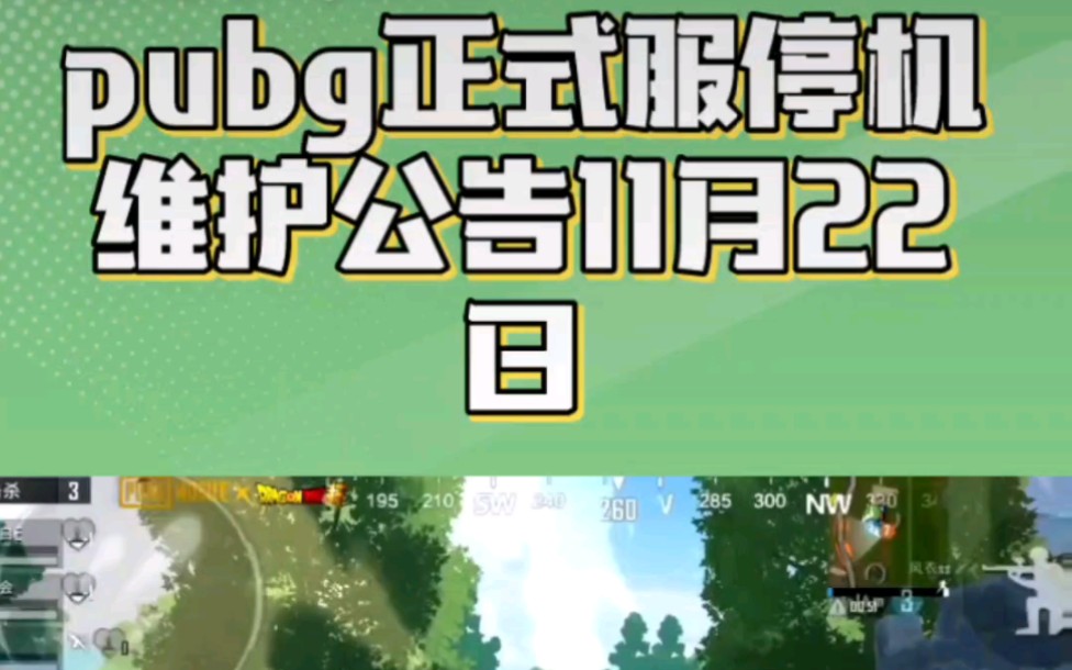 社区互动与反馈