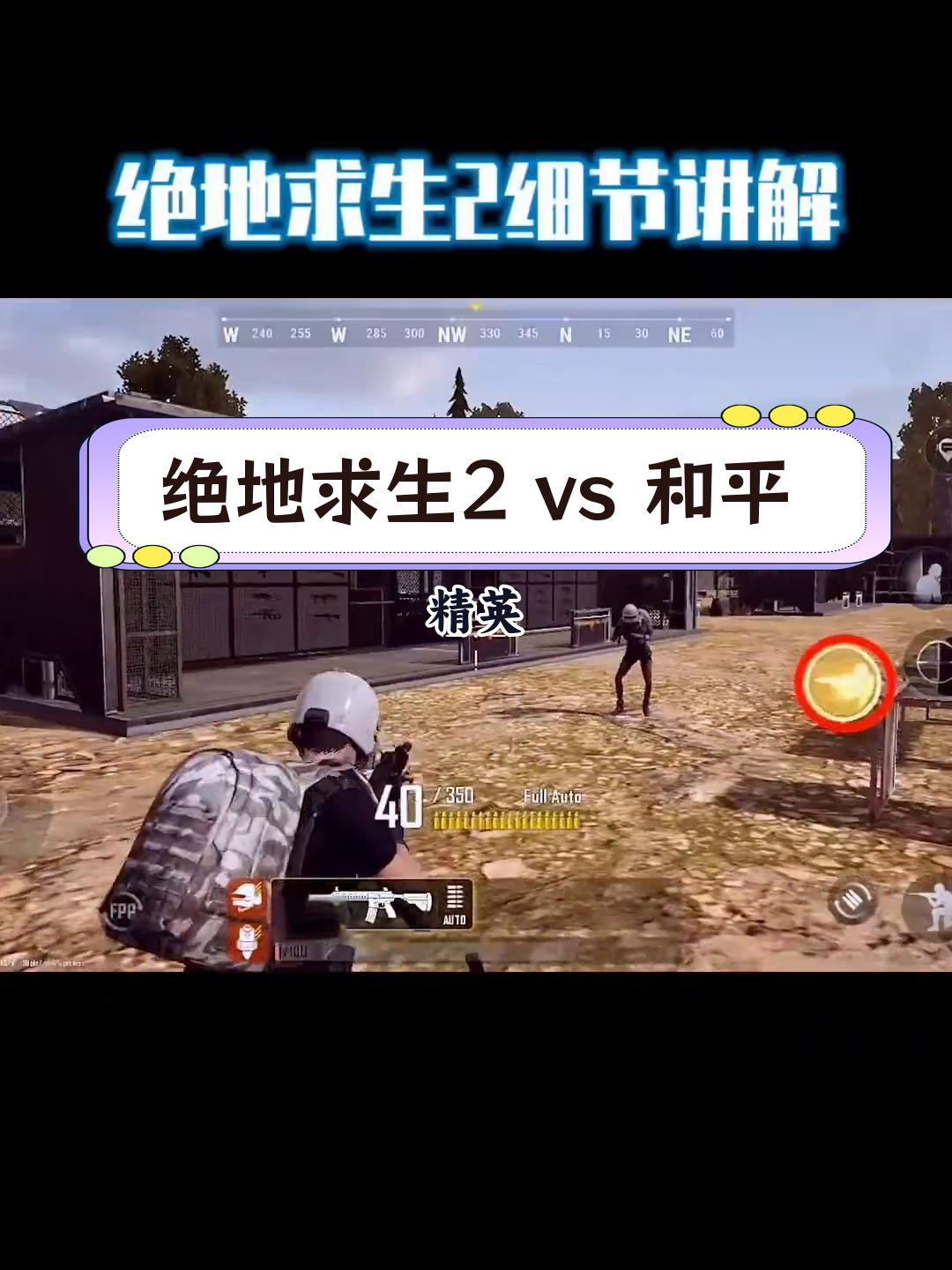 小编分析总结